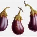 Bébé aubergine