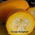 Courge oranghetti