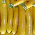 Courgette jaune