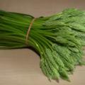 Asperge sauvage